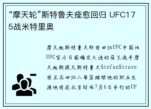 “摩天轮”斯特鲁夫痊愈回归 UFC175战米特里奥
